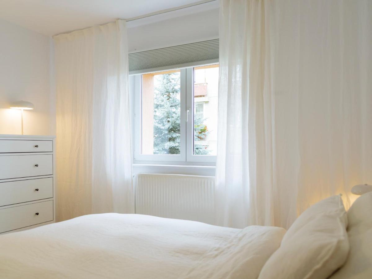 Cozy Central Apartment Near The Forest Brašov Exteriér fotografie
