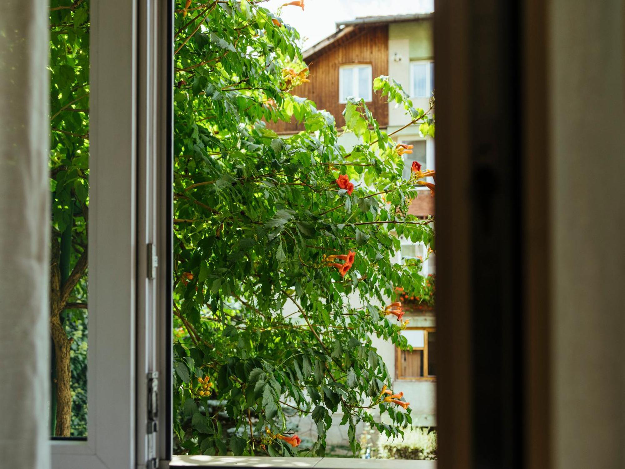 Cozy Central Apartment Near The Forest Brašov Exteriér fotografie