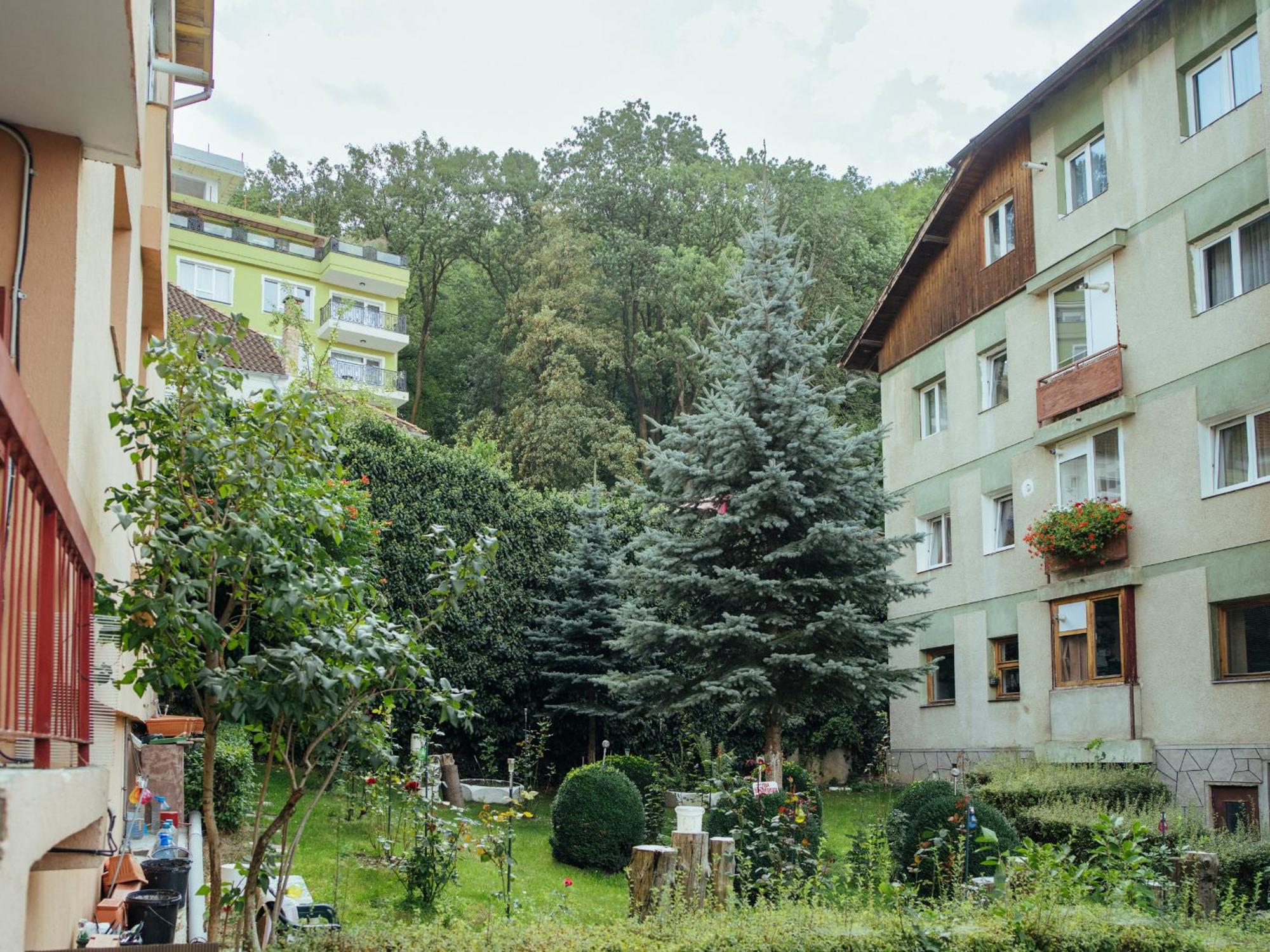 Cozy Central Apartment Near The Forest Brašov Exteriér fotografie